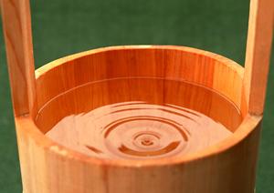 猫のための優れた葬儀サービスを選ぶポイントと心温まるお別れの方法