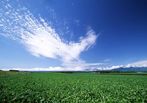 家族葬のタクセル西朝日町｜栃木県那須塩原市の安心低価格の葬儀場