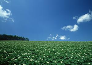 【栃木県宇都宮市】家族葬のタクセル雀宮の特徴とメリット｜信頼の斎場・葬儀場の完全ガイド