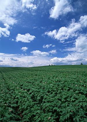 東冠メモリアルプラザ越谷での上質な葬儀サービス