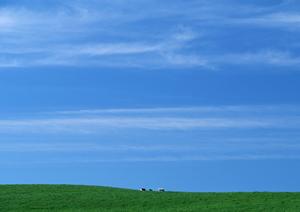 静岡県焼津市に新規OPEN！家族葬に特化した安心の葬儀場「家族葬のタクセル東小川」の詳細と特徴