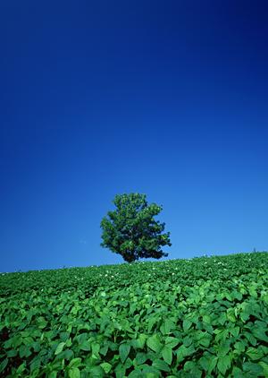 静岡市に根ざした信頼の葬儀場【富士葬祭 唐瀬】：地域密着型の安心葬儀サービス