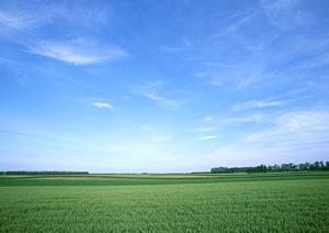 静岡県富士宮市で利用できる信頼の葬儀サービス：豊富な葬儀場と家族葬ホールのご紹介