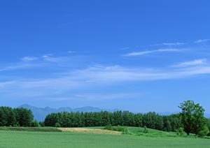 磐田市の安心で信頼できる家族葬と少人数葬儀の専門【富士葬祭 大原】詳細ガイド