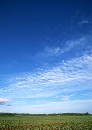 静岡市の安心と利便性を誇る葬儀場【富士葬祭 豊田】: 家族葬・一般葬対応の総合葬儀サービス