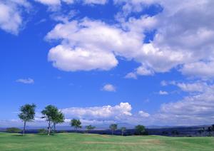 静岡市葵区に2023年新規オープン！家族葬専門の葬儀場「家族葬のタクセル長沼」の特徴とアクセス情報