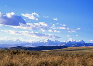 【詳細解説】ティア越谷の葬儀サービスと施設紹介｜安心と信頼を提供する総合葬儀場