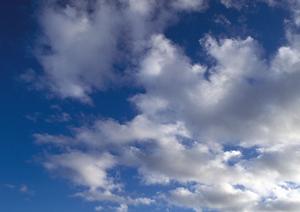 静岡市の安心と信頼を支える富士葬祭 静岡｜家族葬・社葬に対応した総合葬儀場の詳細情報